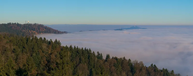 Nebelmeer über dem Mittelland, vom Albis aus gesehen